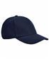 French Navy