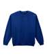 Fan Deep Royal*
