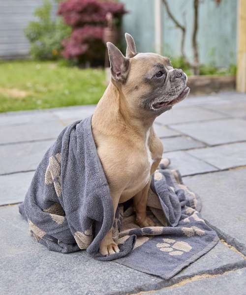 Jumbo terry jacquard dog towel