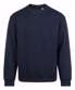 New French Navy