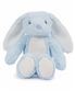 Blue Bunny