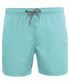 Light Turquoise