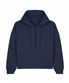 French Navy